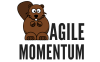 Agile Momentum